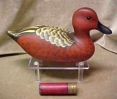 Small Cinnamon Teal drake